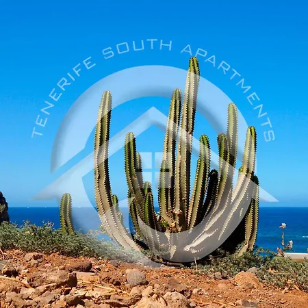 My Sea View Apartman *