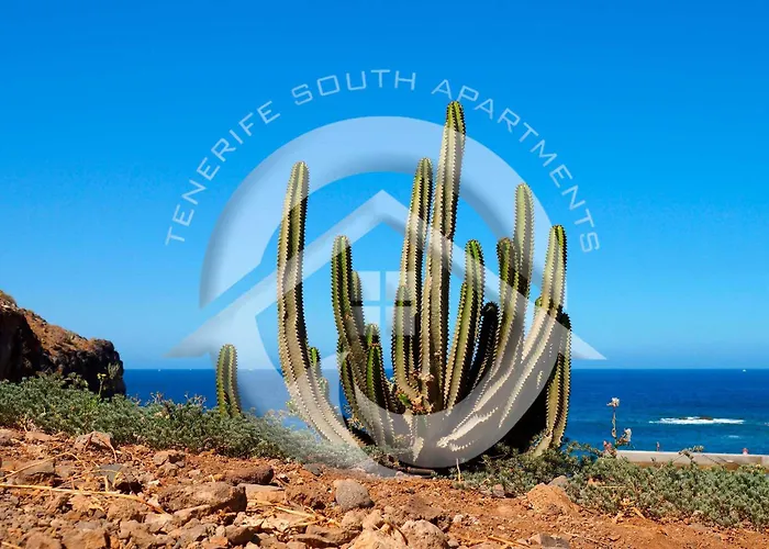 My Sea View Διαμέρισμα *